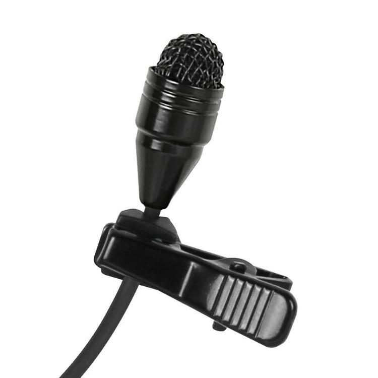 Microphone