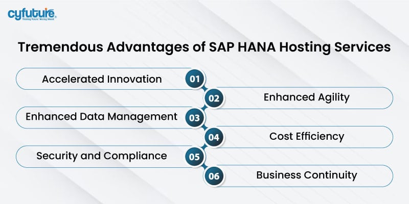 SAP HANA Hosting Services