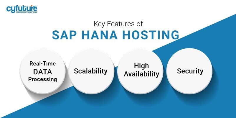 Features of SAP HANA Hosting